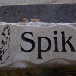 Spike