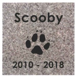 Scooby