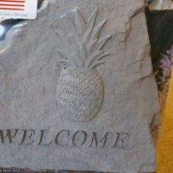 Welcome Pineapple